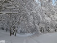 2017-12-29 V. del Morretano 018